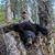 Raymond Eilerman's profile image