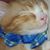 Sabrina Blystone's profile image