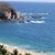 Jacqueline Ammer's profile image