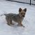 Bernadette Niter-Williams's profile image