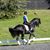 Andrea Lucianna Lindsay's profile image