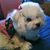 Abril Bensor Bensor's profile image