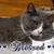 Tammy Pinion's profile image