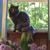 Sue Foley's profile image
