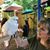 Deb Cook Singleton's profile image