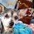 Penny Kirby's profile image