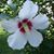 Susan Ricker's profile image