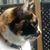 Marla Brumfield Glaser's profile image