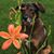 Eileen Schultz's profile image