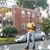 Torski Dobson-Arnold's profile image