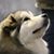 Melanie Whisler Sherer's profile image