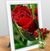 Ana Maria Rosales's profile image