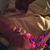 Patricia Hayashi's profile image