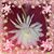 Carol Davis Gable's profile image