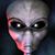 Tracy Ryan Ricker's profile image