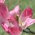 Manali Matkar's profile image