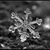 Donna DesBois Erno's profile image