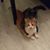 Lisa Steffke's profile image