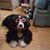 Deidre Mercer's profile image
