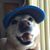Steph Cogle's profile image