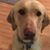 Gail Schweitzer's profile image