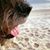 Michelle Kitzrow's profile image