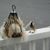 Sue Freer's profile image