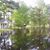Debbie Fauries's profile image