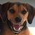 David Loring Persinger's profile image