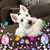 Diana Rader Shrome's profile image