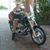 Bunii Thomas's profile image