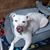 Mary Petersen's profile image