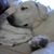 Dede Kerr-Holien's profile image