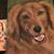 Georgeanne Marie Masterson's profile image