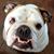 Patty Hale's profile image
