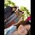 Corinne Acker Smith's profile image