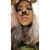 Erika Morales's profile image