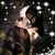 Cheryl Maguire DiNardo's profile image