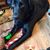 Glenna Jamison's profile image