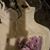 Sweetbriar Jones's profile image