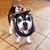Kristina Marie Martinez's profile image