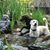 Kathy Perdue's profile image