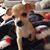 Valerie Nette's profile image