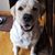 Tory Olson's profile image