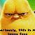 Pamela Wheaton's profile image