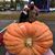 Kristina Schmit's profile image