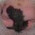 Tom Rote's profile image