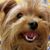 Michael Pettit's profile image