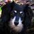 Flori Stolton Fisher's profile image