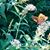 Linda Gimbel Hughes's profile image